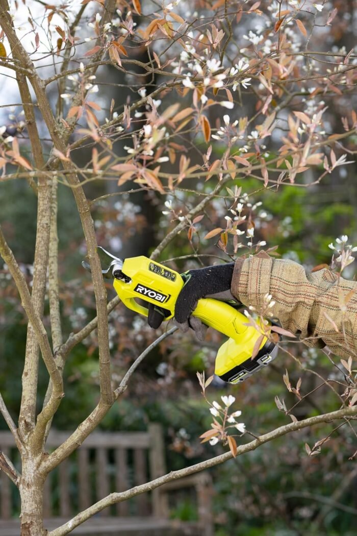 The Ryobi garden tools secateurs cutting through a branch effortlessly with 25mm capacity.